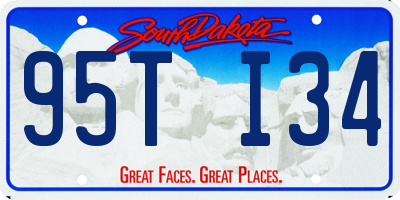 SD license plate 95TI34