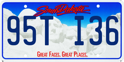 SD license plate 95TI36