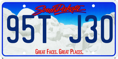 SD license plate 95TJ30