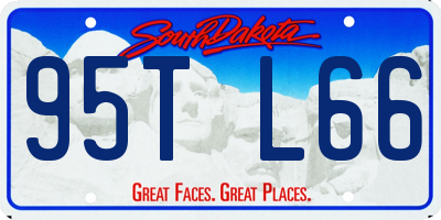 SD license plate 95TL66