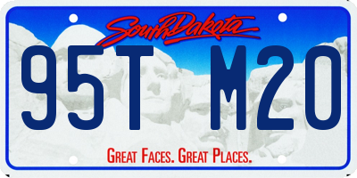 SD license plate 95TM20