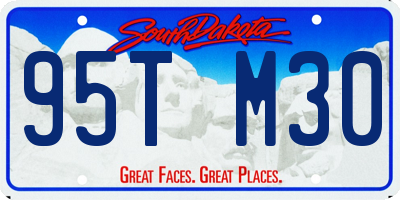 SD license plate 95TM30