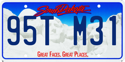 SD license plate 95TM31