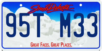 SD license plate 95TM33