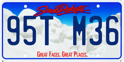 SD license plate 95TM36