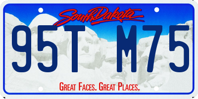 SD license plate 95TM75
