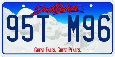 SD license plate 95TM96