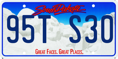 SD license plate 95TS30