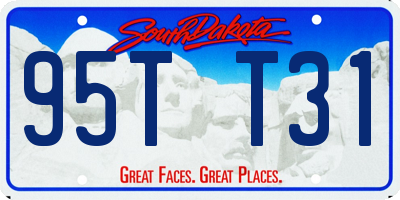 SD license plate 95TT31