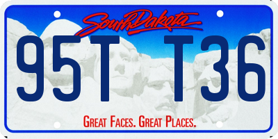 SD license plate 95TT36