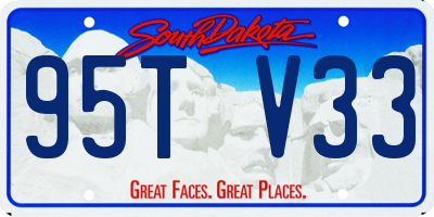 SD license plate 95TV33