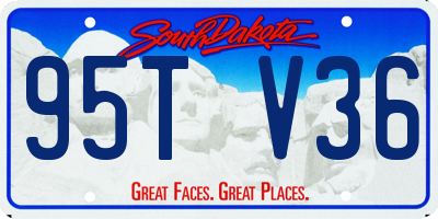 SD license plate 95TV36
