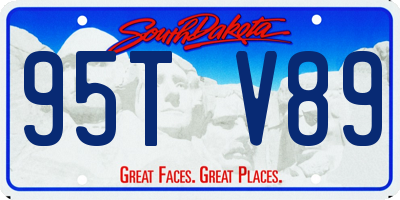 SD license plate 95TV89