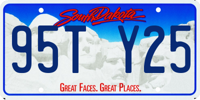 SD license plate 95TY25