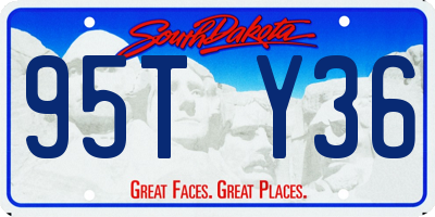 SD license plate 95TY36