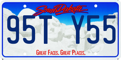 SD license plate 95TY55