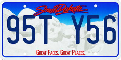 SD license plate 95TY56