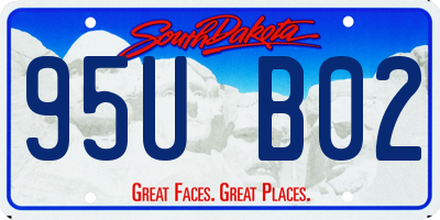 SD license plate 95UB02
