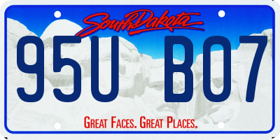 SD license plate 95UB07