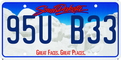 SD license plate 95UB33