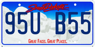 SD license plate 95UB55