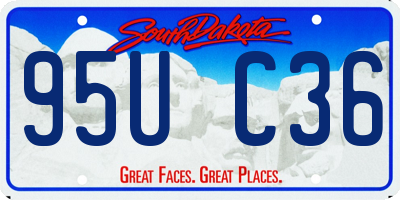 SD license plate 95UC36