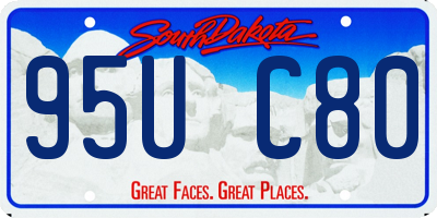 SD license plate 95UC80