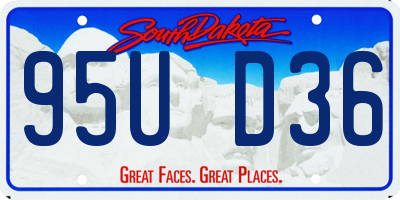 SD license plate 95UD36