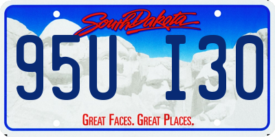 SD license plate 95UI30
