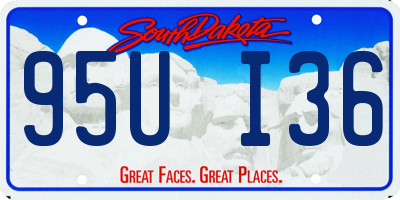 SD license plate 95UI36