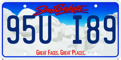 SD license plate 95UI89