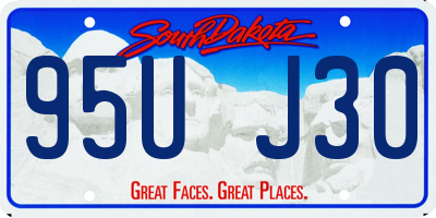 SD license plate 95UJ30