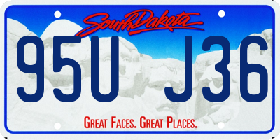 SD license plate 95UJ36