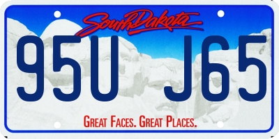 SD license plate 95UJ65