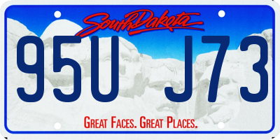 SD license plate 95UJ73