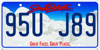 SD license plate 95UJ89