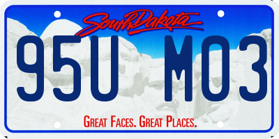 SD license plate 95UM03