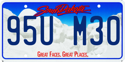 SD license plate 95UM30