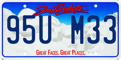 SD license plate 95UM33