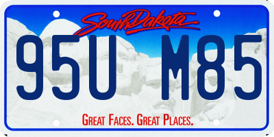 SD license plate 95UM85