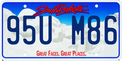 SD license plate 95UM86