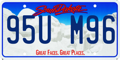 SD license plate 95UM96