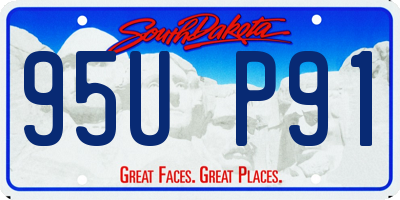 SD license plate 95UP91