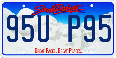 SD license plate 95UP95