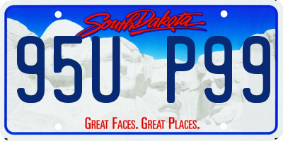 SD license plate 95UP99