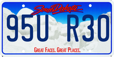 SD license plate 95UR30