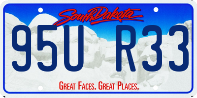 SD license plate 95UR33