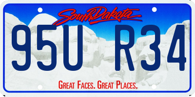 SD license plate 95UR34