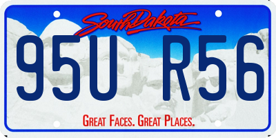 SD license plate 95UR56