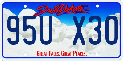 SD license plate 95UX30